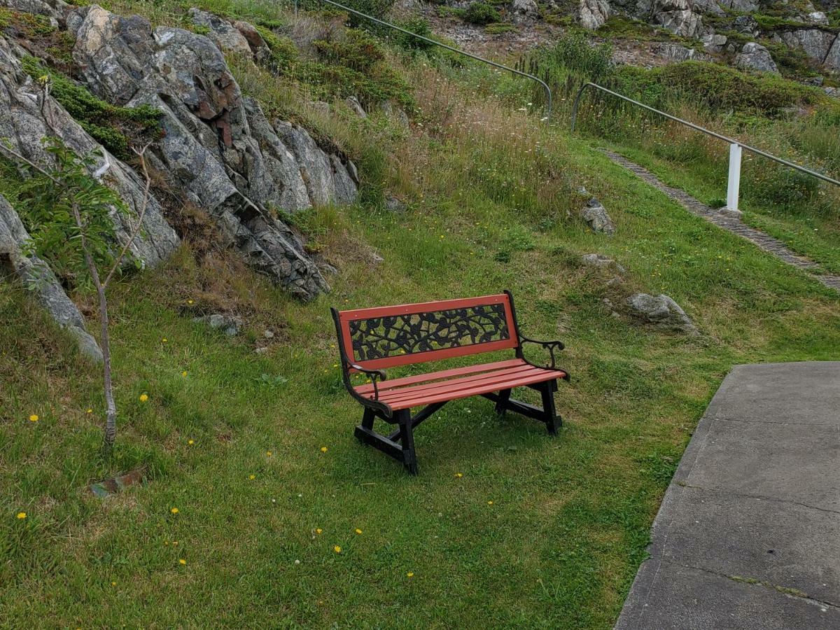 Hillside Cottage 1 Twillingate Bagian luar foto