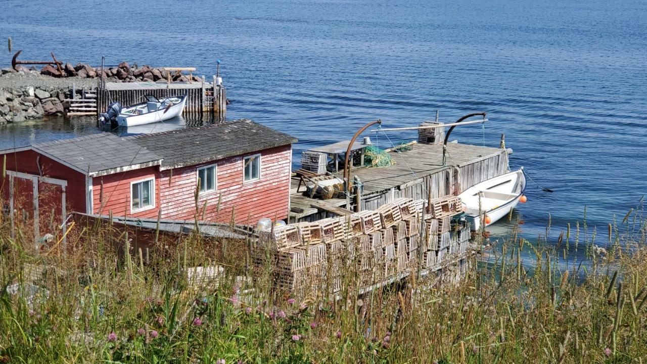 Hillside Cottage 1 Twillingate Bagian luar foto