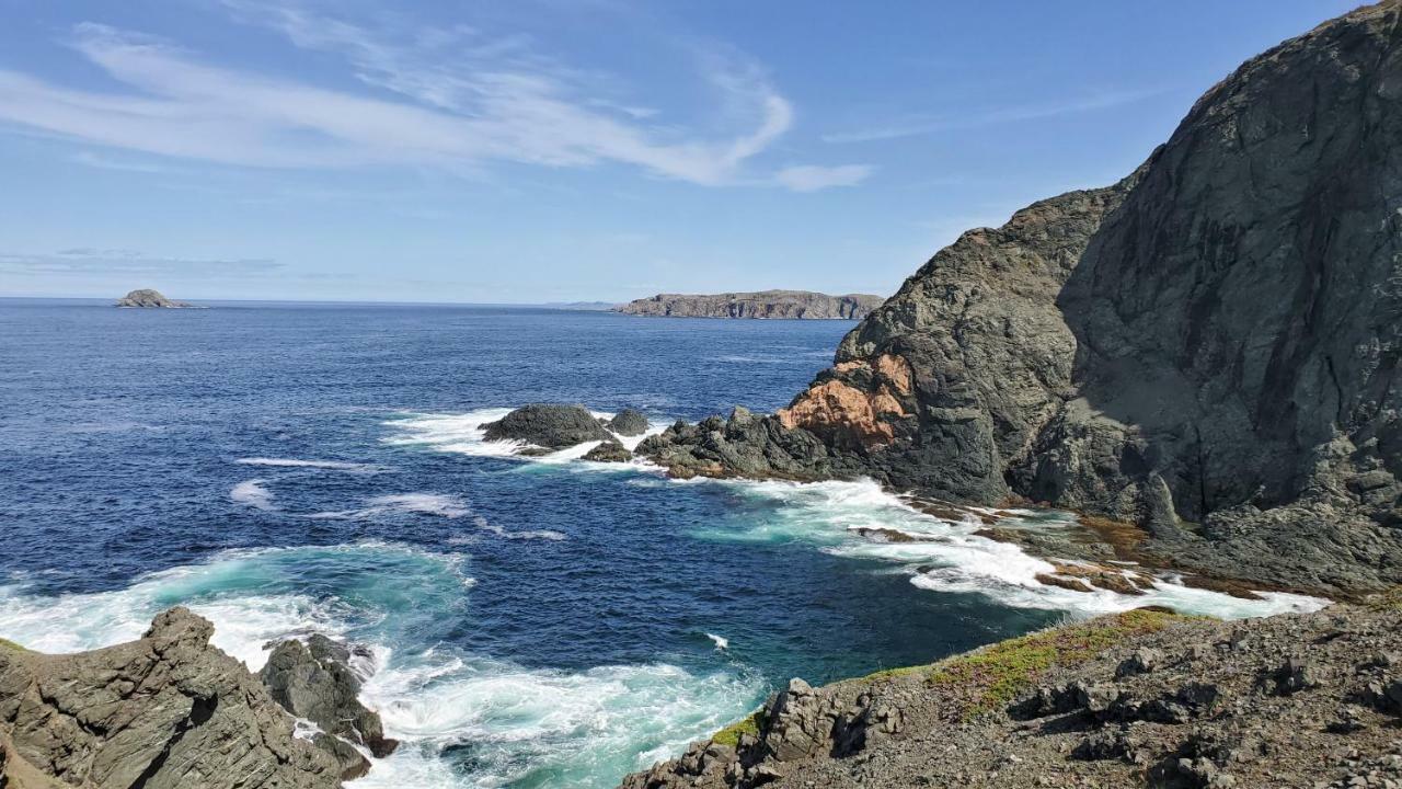 Hillside Cottage 1 Twillingate Bagian luar foto